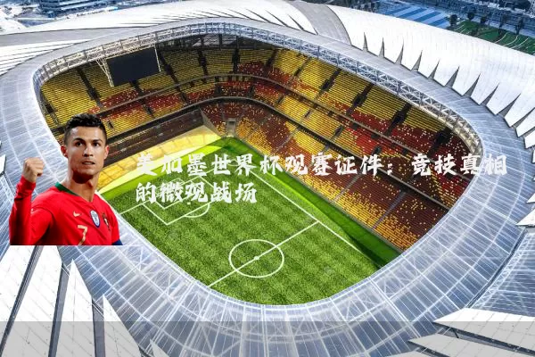 美加墨世界杯观赛证件：竞技真相的微观战场